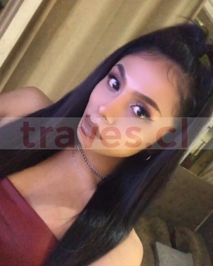 Flavia  Escort Travestis en Providencia |  Sexy trans chilena full femenina rica colita , Culito aguantador full morbosa