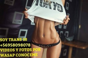 ve mis videos ahora Escort Travestis en Santiago |  Cataleya 18 full anal y oral activa y pasiva wasapeame +56958098078  dpto sin conserje ven ahora , Te lo mamo mejor k mina mira mis videos mios reales