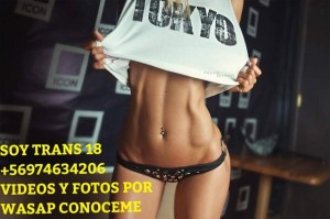 Mira mis videos  Escort Travestis en Santiago |  Trans 18 soy experta en primerisos y heterocuriosos  +56974634206 wasap videos y fotos, Soy experta en primerisos ven animate conoceme ven