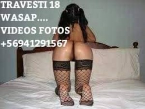 Mira mis videos  Escort Travestis en Santiago |  Trans 18 soy experta en primerisos y heterocuriosos  +56941291567wasap videos y fotos, Te lo mamo mejor k mina mira mis videos mios reales