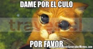 Rosa Escort Travestis en Santiago |  Mamadora 24hrs ven dame leche adicta al.anal y oral, Puedes culiarme rico tengo mi ano que parece choro y mi pico lechera d