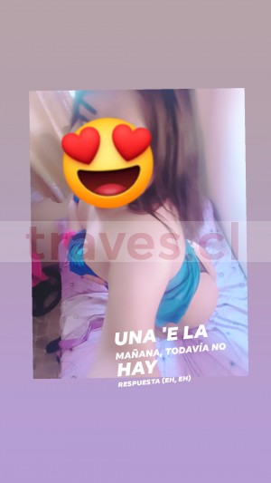 Kaory  Escort Travestis en Santiago |  Disponible dia y noche trans adicta al sex oral , Trans actriz porno 