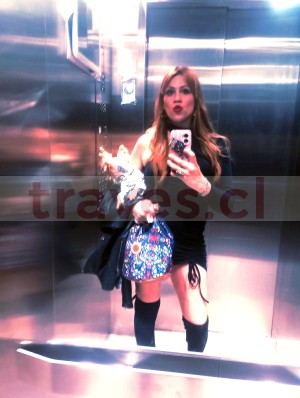 Trans califa Anuncios gratis en Recoleta |  ninfómana chilena de culo aguantador sexual y complaciente, culeadora extrema esquisita con ganitas de follar